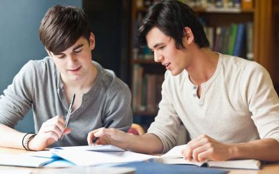 Articles with Count and Non – Count Nouns